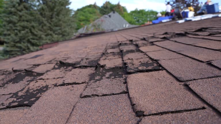 Fast & Reliable Emergency Roof Repairs in Dalton, PA